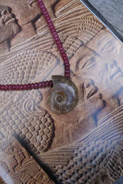 Pink Tourmaline & Fossilised Amulet